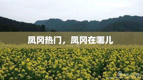 鳳岡熱門，鳳岡在哪兒 