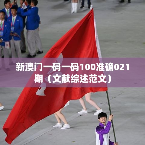 新澳門一碼一碼100準(zhǔn)確021期（文獻(xiàn)綜述范文）