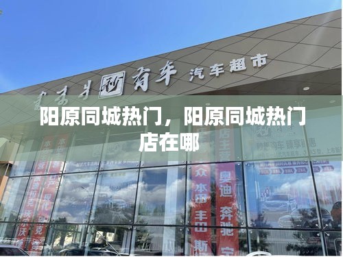 陽(yáng)原同城熱門，陽(yáng)原同城熱門店在哪 
