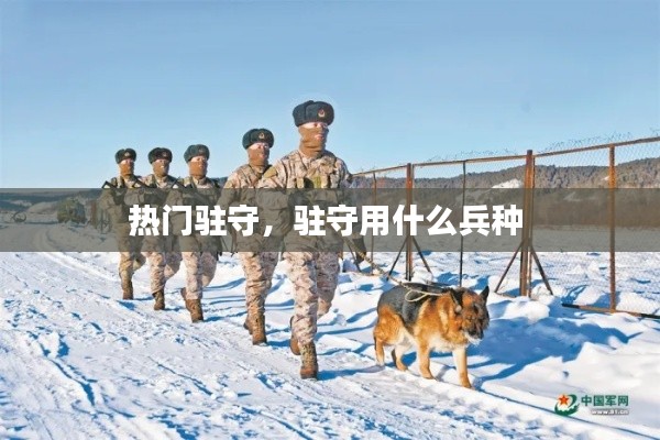 熱門(mén)駐守，駐守用什么兵種 