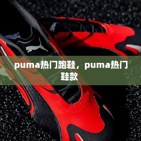 puma熱門跑鞋，puma熱門鞋款 