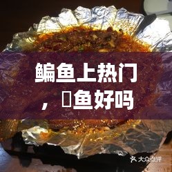 鳊魚上熱門，鮰魚好嗎? 