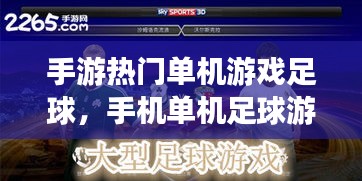 手游熱門單機(jī)游戲足球，手機(jī)單機(jī)足球游戲排行榜 