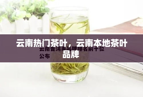 云南熱門茶葉，云南本地茶葉品牌 