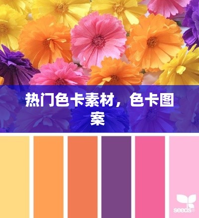 熱門色卡素材，色卡圖案 