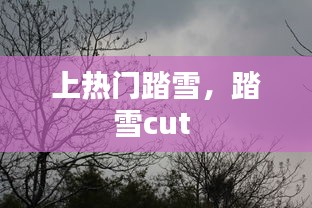 上熱門踏雪，踏雪cut 