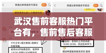武漢售前客服熱門平臺有，售前售后客服公司 