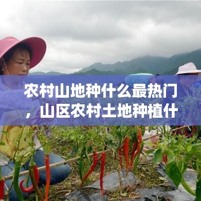 光明磊落 第3頁