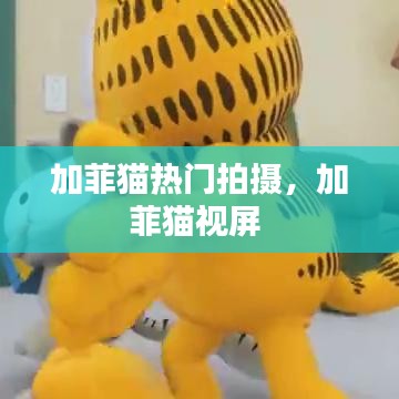加菲貓熱門拍攝，加菲貓視屏 