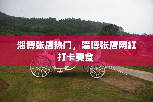 淄博張店熱門，淄博張店網紅打卡美食 