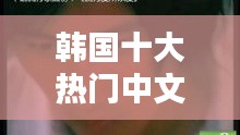 韓國十大熱門中文歌，韓國流行的中文歌 