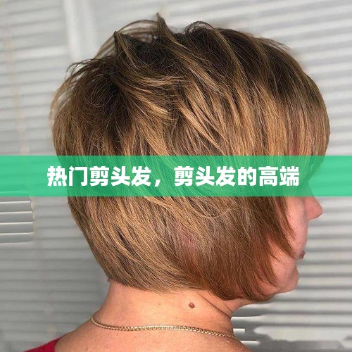 熱門剪頭發(fā)，剪頭發(fā)的高端 