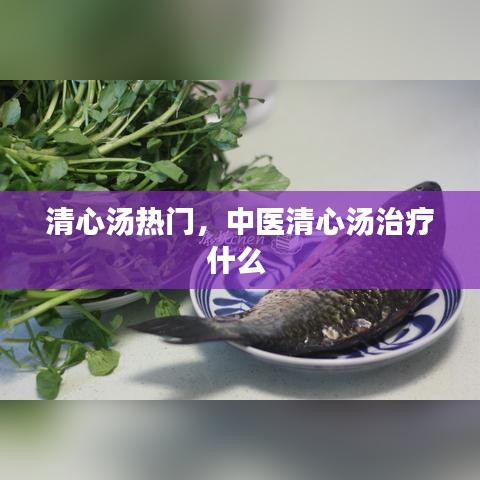 清心湯熱門，中醫(yī)清心湯治療什么 