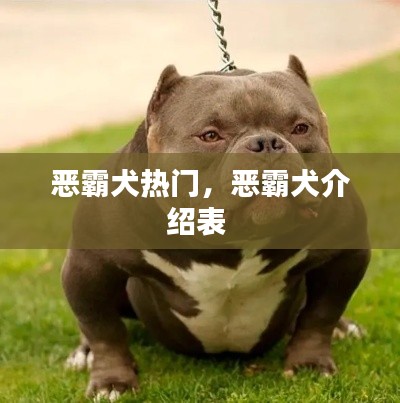 惡霸犬熱門，惡霸犬介紹表 