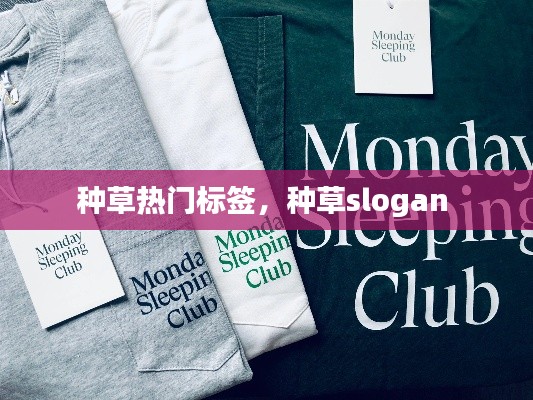 種草熱門(mén)標(biāo)簽，種草slogan 