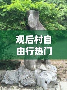 觀后村自由行熱門攻略，后觀景區(qū) 