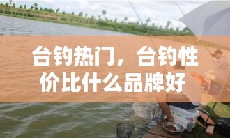 臺釣熱門，臺釣性價比什么品牌好 