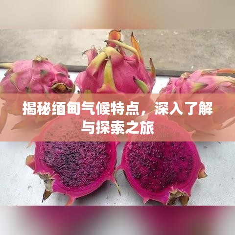 揭秘緬甸氣候特點，深入了解與探索之旅