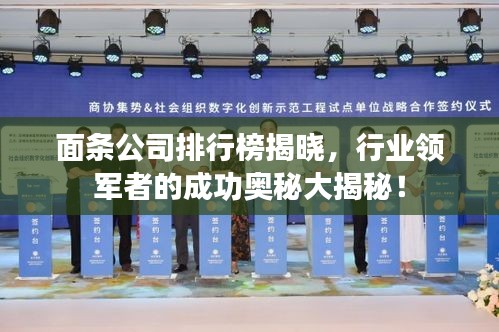 面條公司排行榜揭曉，行業(yè)領(lǐng)軍者的成功奧秘大揭秘！