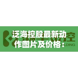 泛?？毓勺钚聞?dòng)作圖片及價(jià)格：泛海控股股份有限公司 