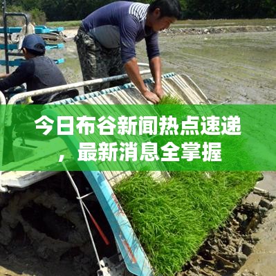 權(quán)貴顯要 第3頁