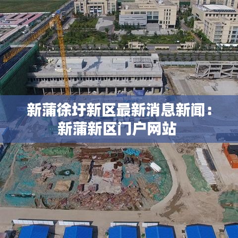 新蒲徐圩新區(qū)最新消息新聞：新蒲新區(qū)門戶網(wǎng)站 