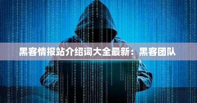 黑客情報站介紹詞大全最新：黑客團隊 