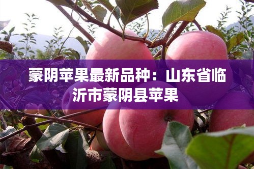 蒙陰蘋果最新品種：山東省臨沂市蒙陰縣蘋果 