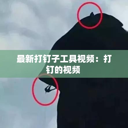 最新打釘子工具視頻：打釘?shù)囊曨l 
