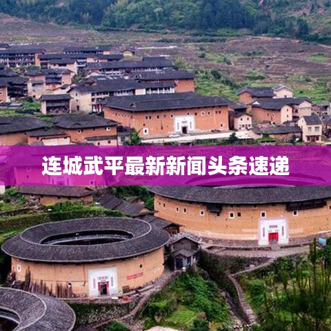 連城武平最新新聞頭條速遞