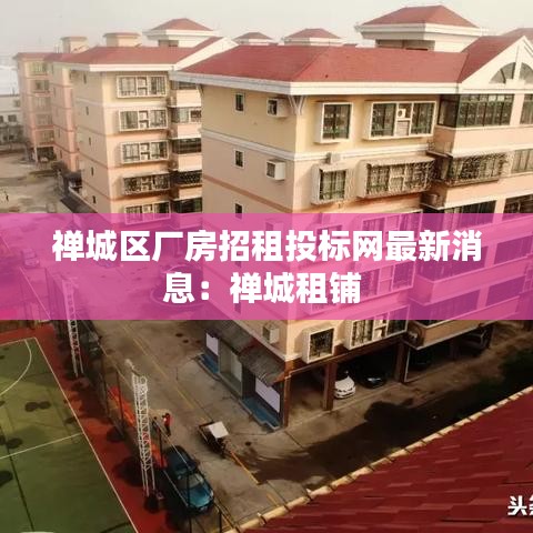 禪城區(qū)廠房招租投標(biāo)網(wǎng)最新消息：禪城租鋪 