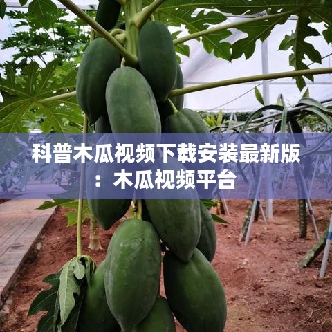 科普木瓜視頻下載安裝最新版：木瓜視頻平臺(tái) 