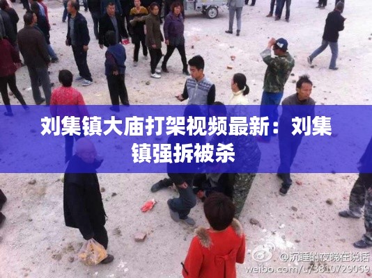 劉集鎮(zhèn)大廟打架視頻最新：劉集鎮(zhèn)強拆被殺 