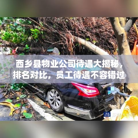 西鄉(xiāng)縣物業(yè)公司待遇大揭秘，排名對比，員工待遇不容錯過！