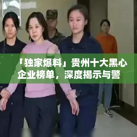 「獨家爆料」貴州十大黑心企業(yè)榜單，深度揭示與警示！