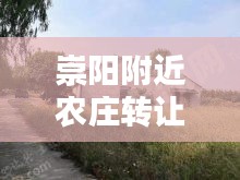 崇陽附近農(nóng)莊轉(zhuǎn)讓信息最新：崇陽農(nóng)村 