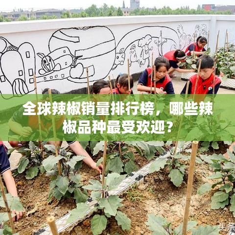 全球辣椒銷量排行榜，哪些辣椒品種最受歡迎？