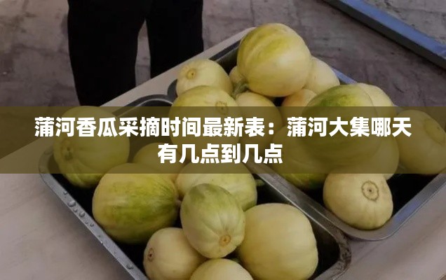 蒲河香瓜采摘時間最新表：蒲河大集哪天有幾點到幾點 