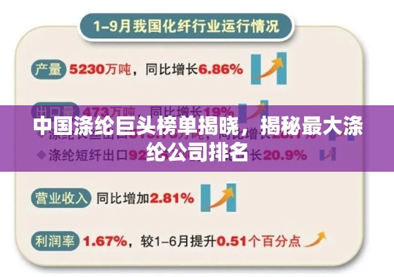 中國(guó)滌綸巨頭榜單揭曉，揭秘最大滌綸公司排名