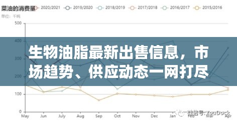 生物油脂最新出售信息，市場趨勢、供應動態(tài)一網打盡