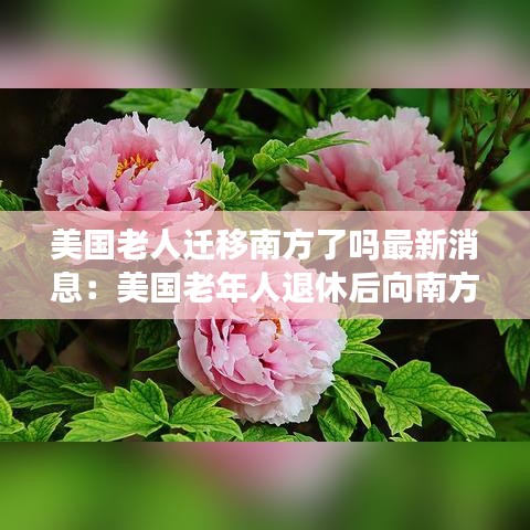 美國(guó)老人遷移南方了嗎最新消息：美國(guó)老年人退休后向南方遷移 