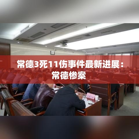 常德3死11傷事件最新進展：常德慘案 