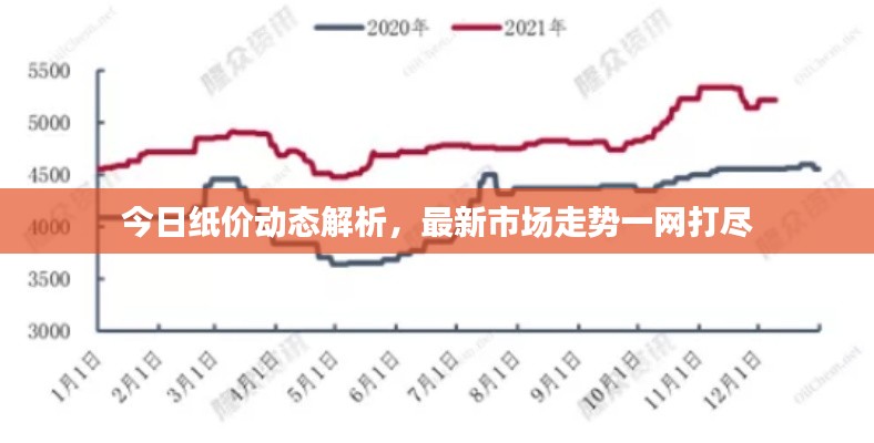 今日紙價(jià)動(dòng)態(tài)解析，最新市場(chǎng)走勢(shì)一網(wǎng)打盡