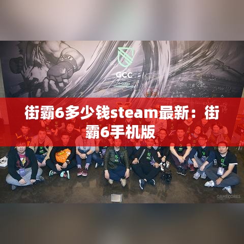街霸6多少錢steam最新：街霸6手機(jī)版 