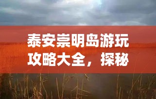 泰安崇明島游玩攻略大全，探秘美景，盡享絕佳體驗！