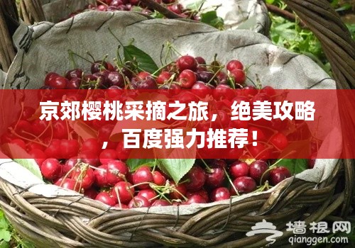 京郊櫻桃采摘之旅，絕美攻略，百度強(qiáng)力推薦！
