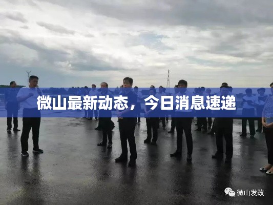微山最新動(dòng)態(tài)，今日消息速遞