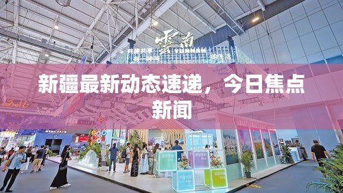 新疆最新動態(tài)速遞，今日焦點新聞