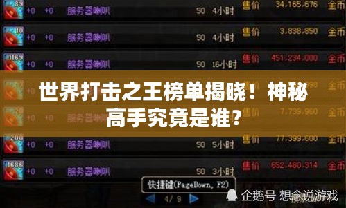 世界打擊之王榜單揭曉！神秘高手究竟是誰？