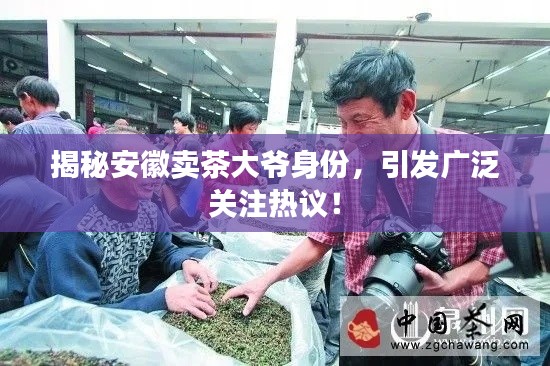 揭秘安徽賣茶大爺身份，引發(fā)廣泛關(guān)注熱議！